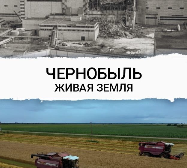  Фильм «Чернобыль. Живая земля»
